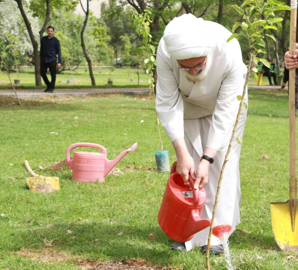 آئین درختکاری #به_فرمان_رهبرم
