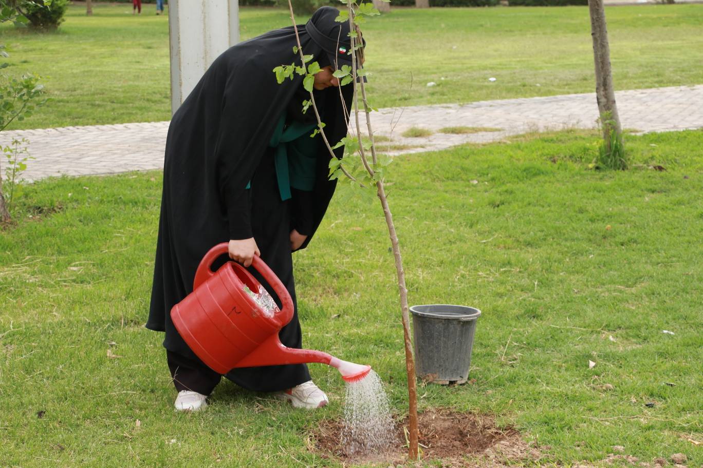آئین درختکاری #به_فرمان_رهبرم