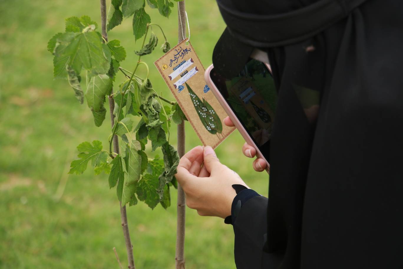 آئین درختکاری #به_فرمان_رهبرم